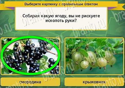 Выбирайка игра ответы в одноклассниках Уровень 6667