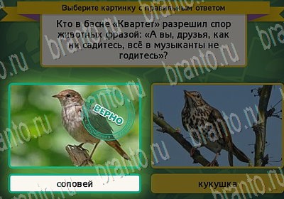 игра Выбирайка ответ на Уровень 6680