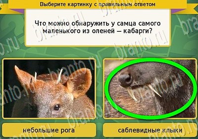 Выбирайка игра ответы Уровень 6683