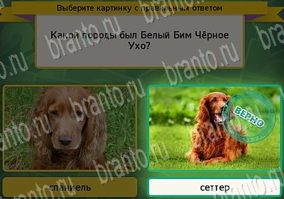 Игра Выбирайка подсказки Уровень 6708