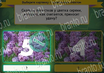 игра Выбирайка Мой мир ответ на Уровень 6720