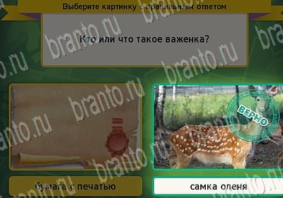 ответы к игре Выбирайка Уровень 6725