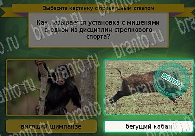 Одноклассники Выбирайка ответы Уровень 6728