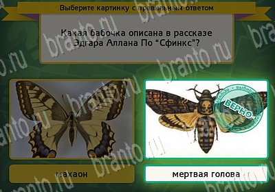 Выбирайка решения Уровень 6732