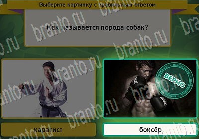 Выбирайка игра ответы Уровень 6733