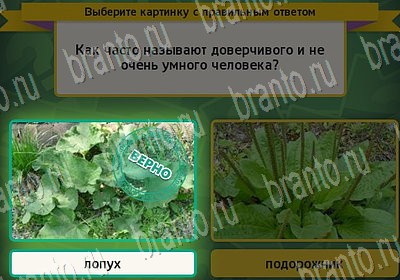 игра Выбирайка помощь Уровень 6739