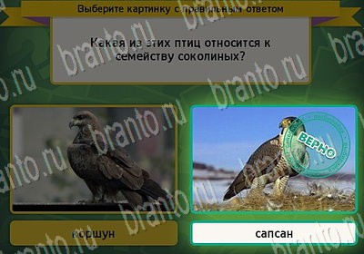 решебник на игру Выбирайка Уровень 6741