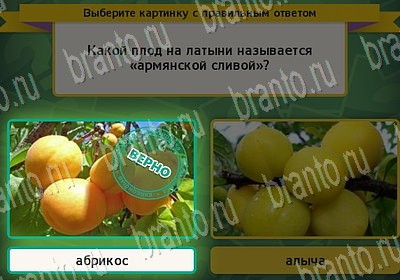 ответы к игре Выбирайка Уровень 6755