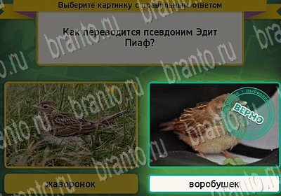 решебник на игру Выбирайка Уровень 6771