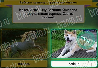 Игра Выбирайка Одноклассники подсказки Уровень 6778