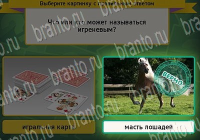 Помощь на игру ВК Выбирайка Уровень 6784