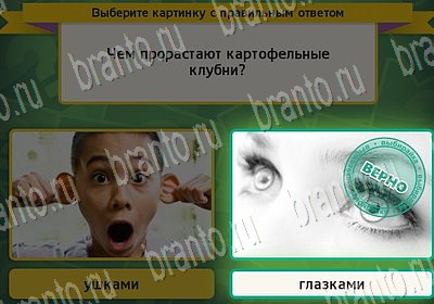 Выбирайка решения Уровень 6832