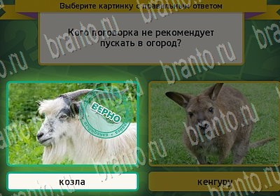 ответы на игру в одноклассниках Выбирайка Уровень 6846