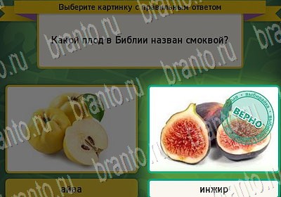 Выбирайка игра ответы в одноклассниках Уровень 6847