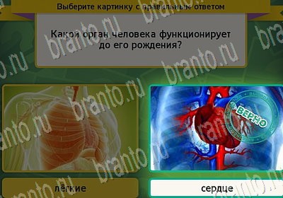 игра Выбирайка ответ на Уровень 6860