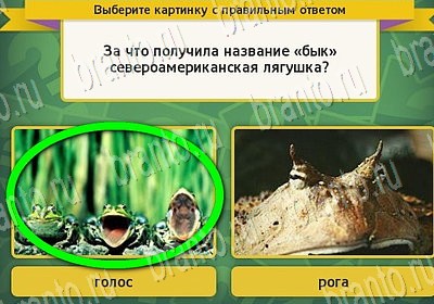 ответы на игру Выбирайка в одноклассниках Уровень 6871