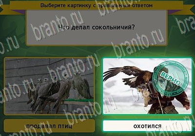 Решения на игру Выбирайка Уровень 6873