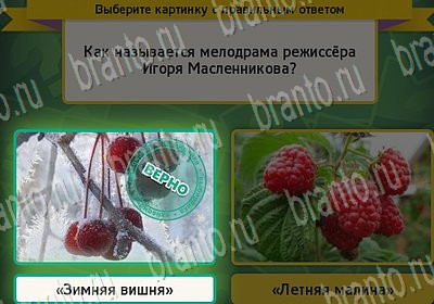 Одноклассники Выбирайка ответы Уровень 6878