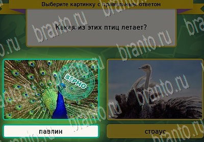 решебник на игру Выбирайка Уровень 6881