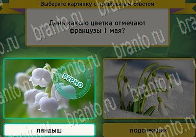 Выбирайка игра помощь Уровень 6885