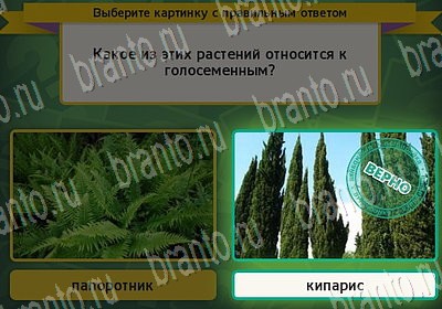 Выбирайка решения Уровень 6892