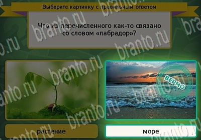 Выбирайка игра подсказки Уровень 6894