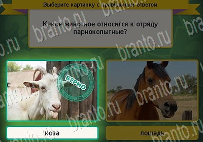 Игра Выбирайка Мой мир ответы Уровень 6897