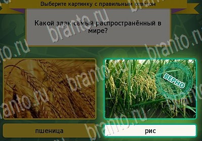 игра Выбирайка помощь Уровень 6919