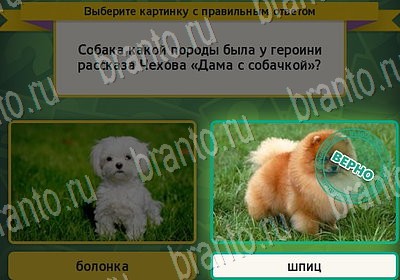 Игра Выбирайка Одноклассники подсказки Уровень 6928