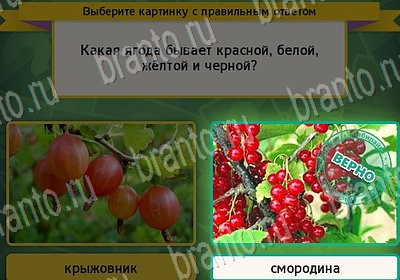 Выбирайка игра помощь Уровень 6945