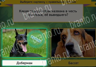 Выбирайка ответы в картинках Уровень 6946