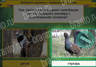 решебник на игру Выбирайка Уровень 6971