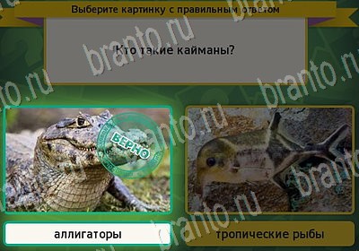Выбирайка ответы в картинках Уровень 6976