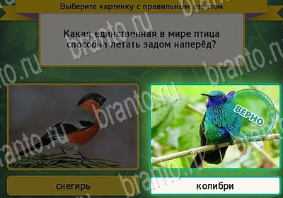 Подсказки на игру Выбирайка Уровень 6992