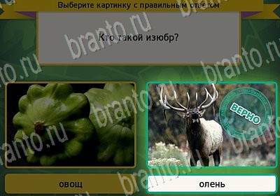 ответы к игре Выбирайка Уровень 6995