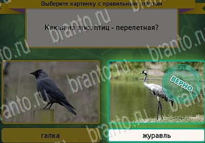 Выбирайка игра ответы Уровень 7013