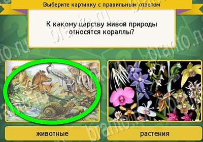 Подсказки на игру Выбирайка Уровень 7022