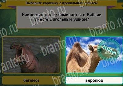 игра Выбирайка ответ на Уровень 7030