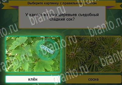 Игра Выбирайка подсказки Уровень 7038