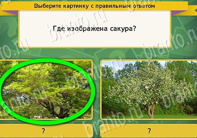 Выбирайка игра ответы Уровень 7043