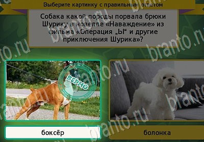 Выбирайка решения Уровень 7072