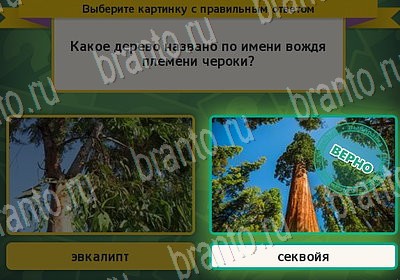 Выбирайка игра помощь Уровень 7075