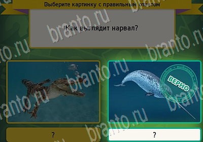 Выбирайка ответы в картинках Уровень 7076