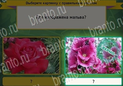 ответы на игру Выбирайка в одноклассниках Уровень 7081