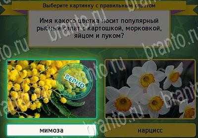 Помощь на игру ВК Выбирайка Уровень 7084