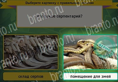 Выбирайка решения Уровень 7092