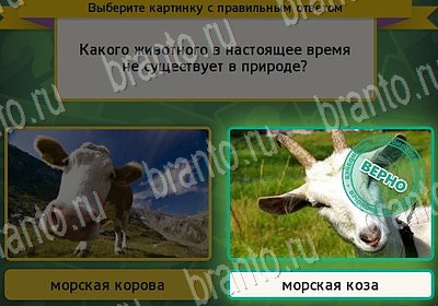 Помощь на игру ВК Выбирайка Уровень 7114