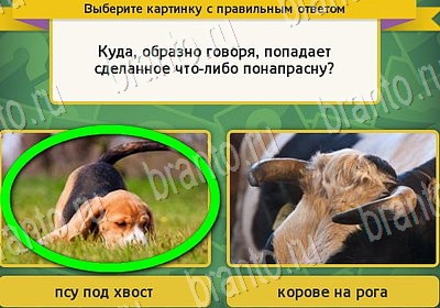 ответы к игре Выбирайка Уровень 7115