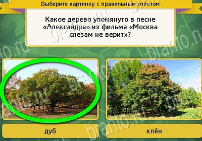 игра Выбирайка ответ на Уровень 7130