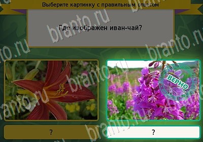 Выбирайка игра ответы Уровень 7133
